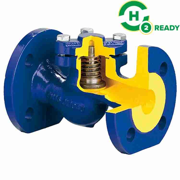 Distributor Zetkama Check Valve DN 20 PN 40 surabaya